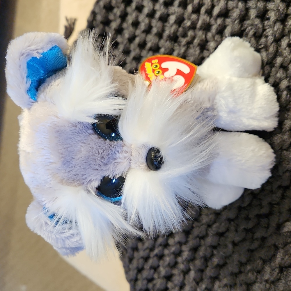 TY Beanie Boos Whiskers the Dog Grey White Schnauzer Blue Glitter eyes 6" NWT